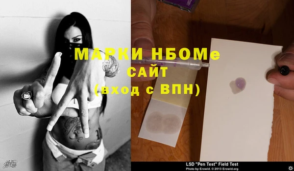 дживик Верхний Тагил