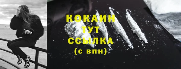 дживик Верхний Тагил