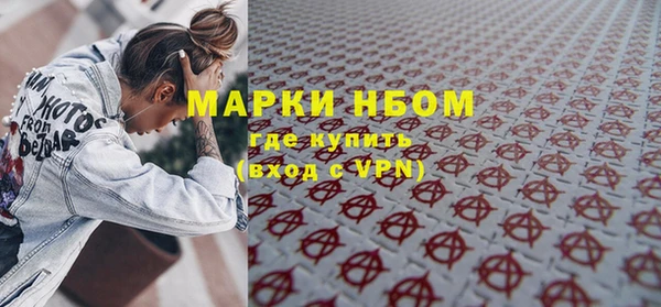 дживик Верхний Тагил