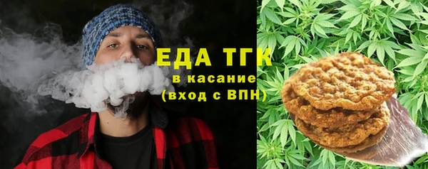 дживик Верхний Тагил