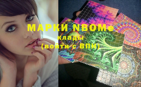 дживик Верхний Тагил