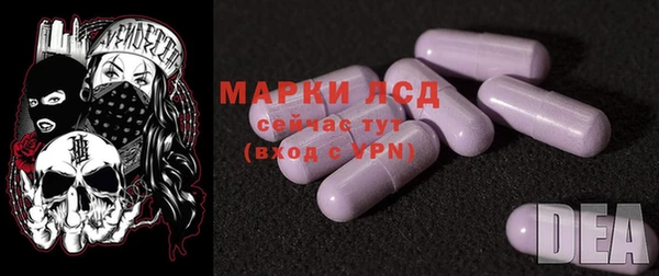 дживик Верхний Тагил
