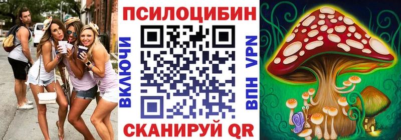 OMG рабочий сайт купить цена Рузаевка Галлюциногенные грибы GOLDEN TEACHER